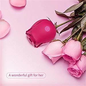 ویبراتور مکش قابل شارژ ویلیبراتور مکشی Rose Clitoral 10 حالت برای زن